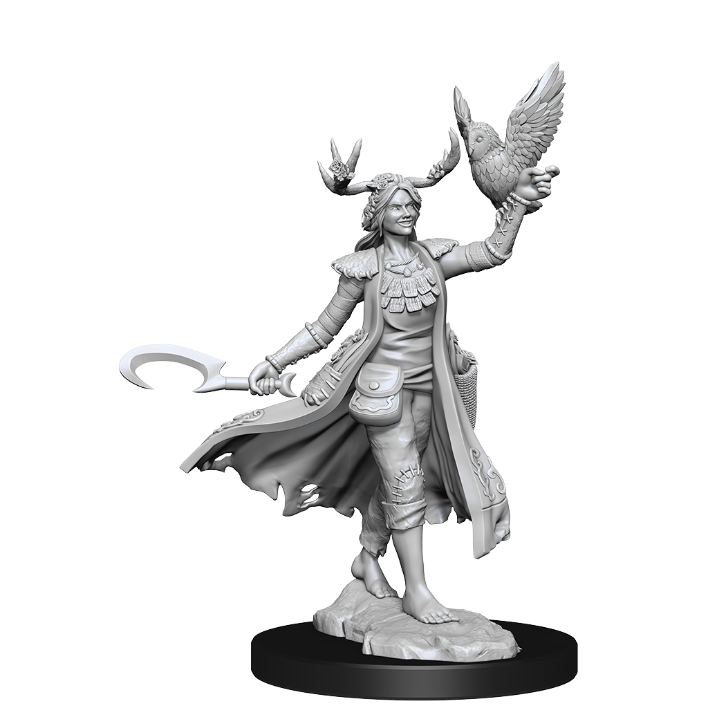 D&D: Frameworks - Human Druid Female