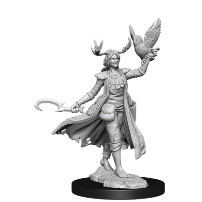 D&D: Frameworks - Human Druid Female
