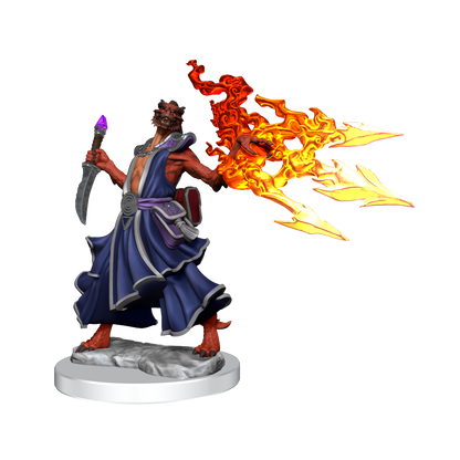D&D: Frameworks - Dragonborn Sorcerer Female