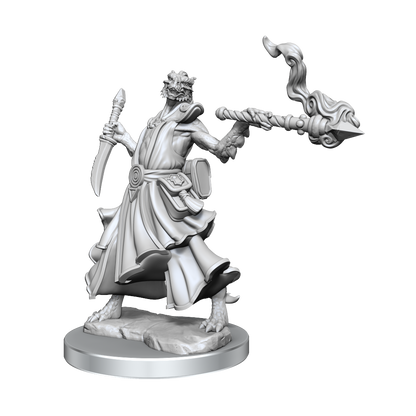 D&D: Frameworks - Dragonborn Sorcerer Female