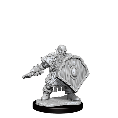 D&D: Frameworks - Dwarf Fighter Male