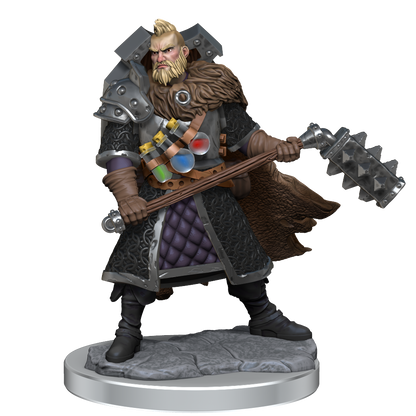 D&D: Frameworks - Human Fighter Male