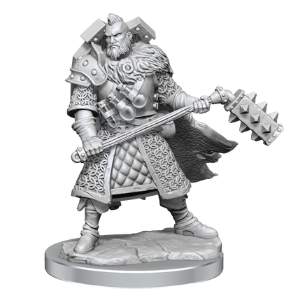 D&D: Frameworks - Human Fighter Male