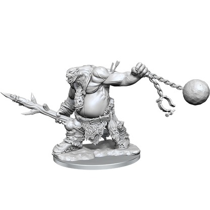 D&D: Frameworks - Ogre