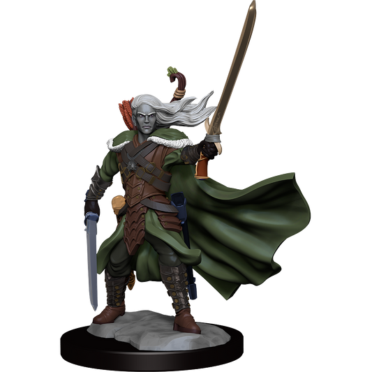 D&D: Frameworks - Elf Ranger Male