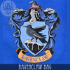 Harry Potter - Ravenclaw Dice Bag & 5D6