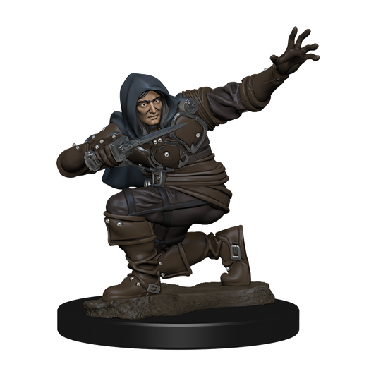 Pathfinder Battles: Human Rogue Male