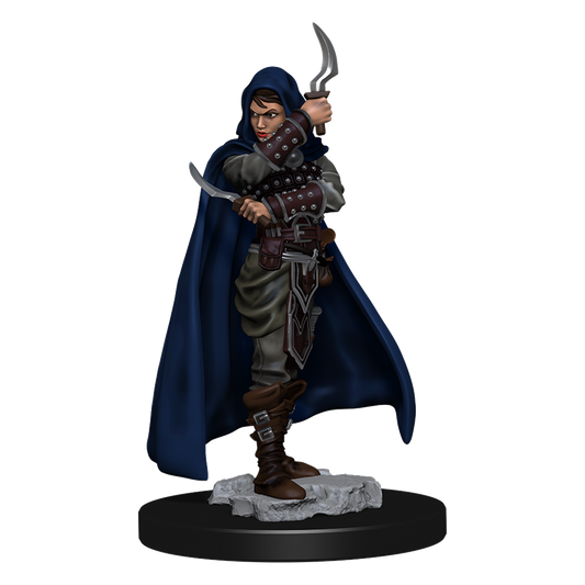 Pathfinder Battles: Human Rogue Female