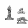 WZK72580 Familiars Pathfinder Battles Miniatures Unpainted WizKids