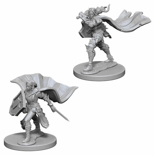WZK72609 Elf Female Paladin Pathfinder Battles Miniatures Unpainted