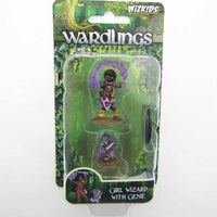Girl Wizard And Genie Miniatures Pre-painted Minis Wardlings