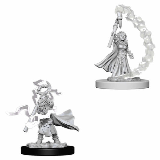 WZK73345 Gnome Female Sorcerer Miniatures Pathfinder Battles Deep Cuts