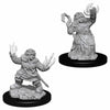 WZK73543 Female Dwarf Summoner Pathfinder Battles Miniatures Unpainted