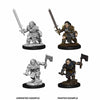 WZK73694 Female Dwarf Barbarian Pathfinder Battles Deep Cuts Miniatures