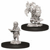 WZK73722 Male Gnome Sorcerer Pathfinder Battles Deep Cuts Miniatures