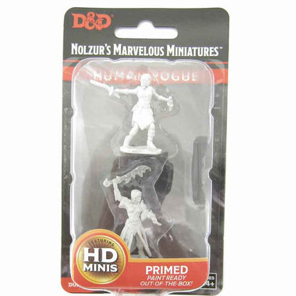 WZK73831 Female Human Rogue Nozurs Marvelous Miniatures D&D Unpainted