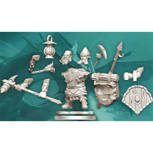 D&D Frameworks Wave 1: Dwarf Fighter Male - Miniature