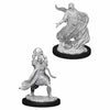 WZK90005 Male Elf Sorcerer Nozurs Marvelous Miniatures D&D Unpainted