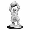 WZK90041 Ogre Pathfinder Battles Deep Cuts Miniatures Unpainted WizKids