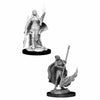WZK90044 Female Human Oracle Pathfinder Battles Deep Cuts Miniatures Unpainted WizKids