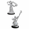 WZK90052 Male Human Sorcerer Pathfinder Battles Deep Cuts Miniatures