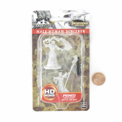WZK90052 Male Human Sorcerer Pathfinder Battles Deep Cuts Miniatures