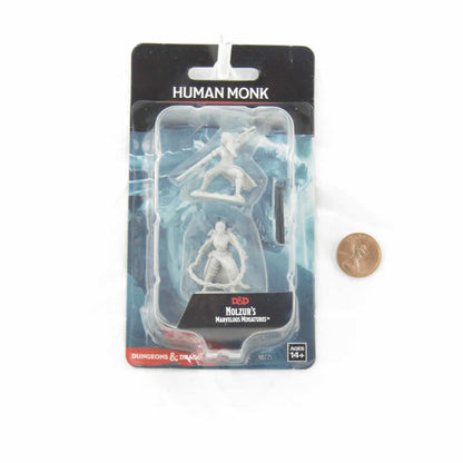 WZK90225 Human Monk Female Nozurs Marvelous Miniatures D&D Unpainted Miniatures