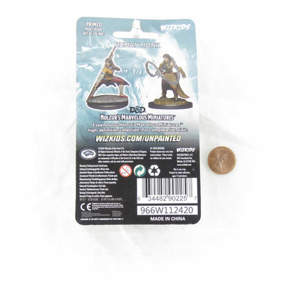 WZK90225 Human Monk Female Nozurs Marvelous Miniatures D&D Unpainted Miniatures
