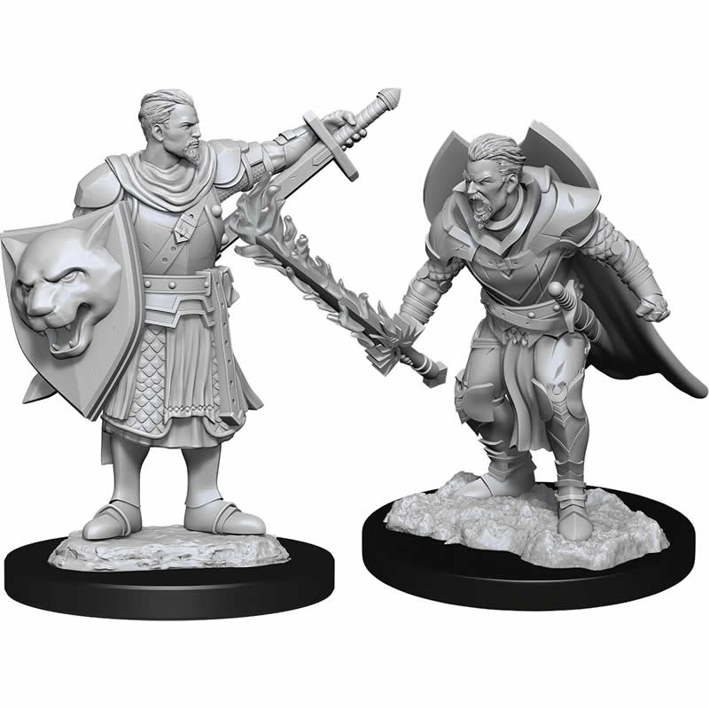 WZK90263 Human Champion Male Miniature Figure Pathfinder Battles Deep Cuts Unpainted Miniatures