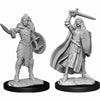 WZK90264 Human Champion Female Miniature Figure Pathfinder Battles Deep Cuts Unpainted Miniatures