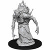 Annis Hag Miniature - D&D Nolzur's Marvelous Unpainted Minis WZK90321