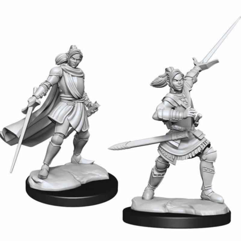 WZK90390 Half-elf Pally Xhorhas Paladin Female Unpainted Miniatures Critical Role Series Figures