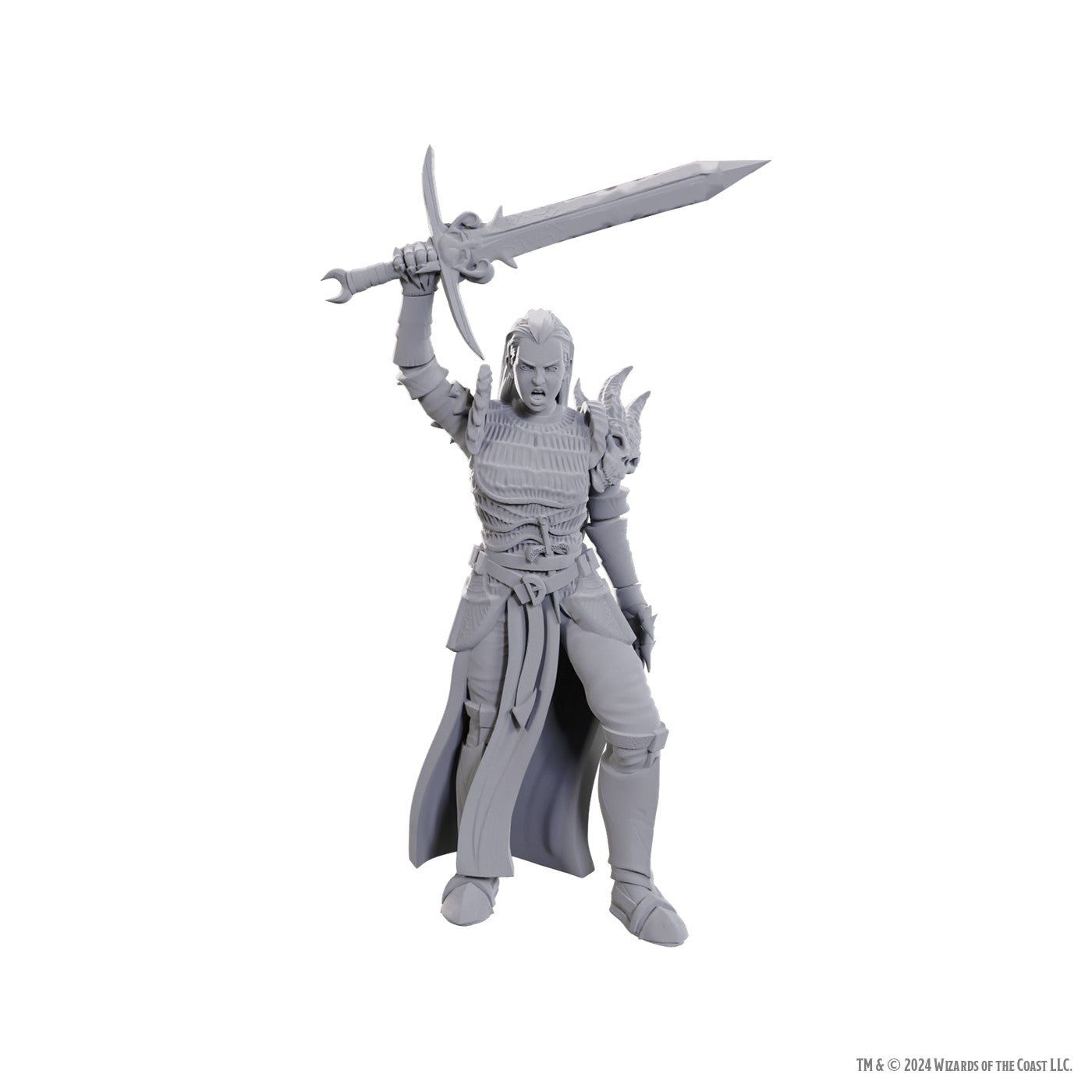 D&D Nolzur's Marvelous Miniatures: Blackguard