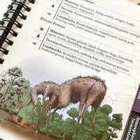 Wondrous Expeditions Forests - Pocket Guide (Hardcover)