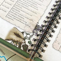 Wondrous Expeditions Forests - Pocket Guide (Hardcover)