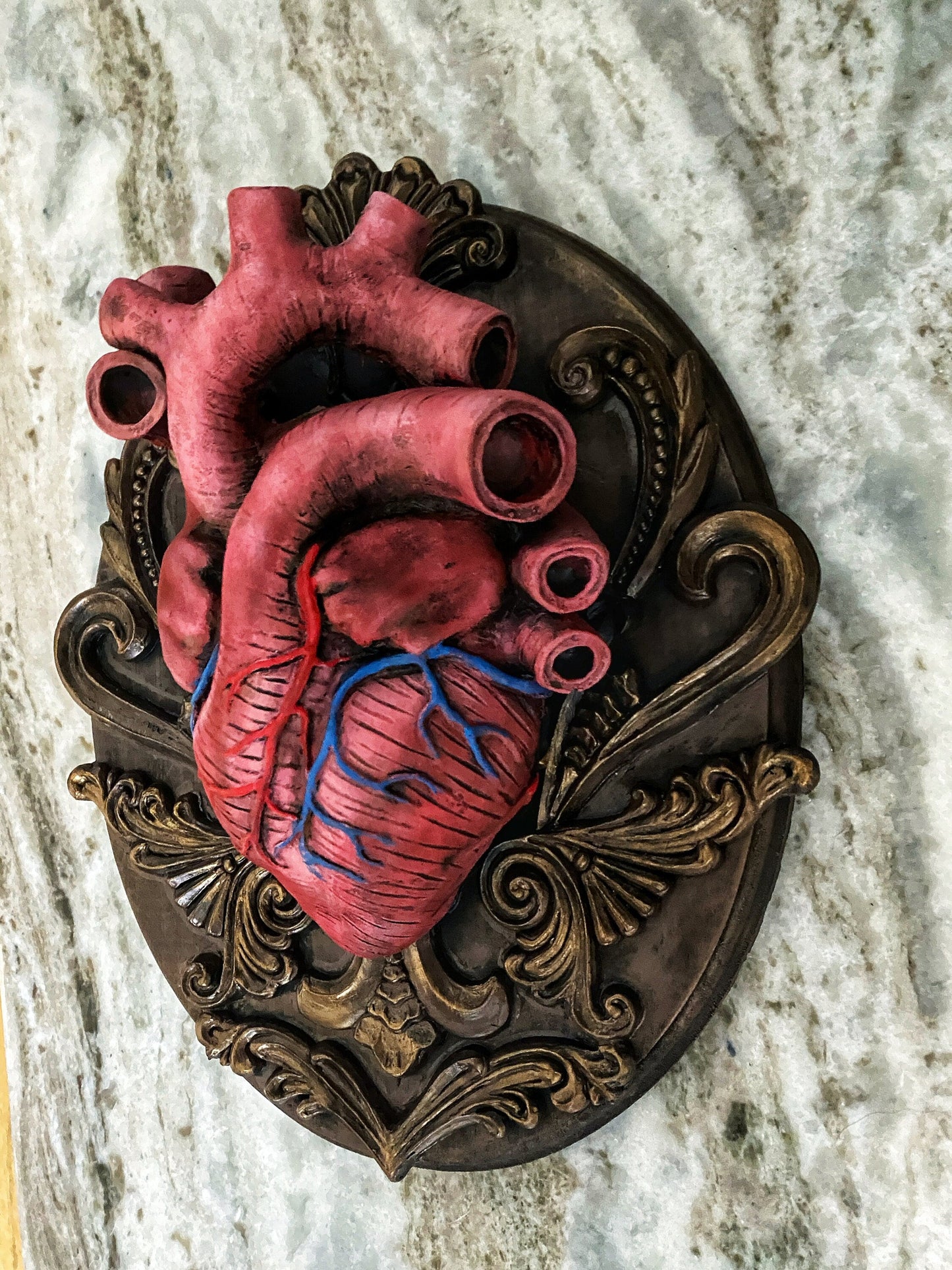 Anatomical Human Heart Wall Plaque