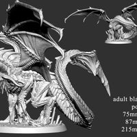 Adult Black Dragon