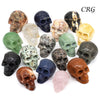 Assorted Gemstone Skulls Size 2 Inches Mixed Crystal Carvings