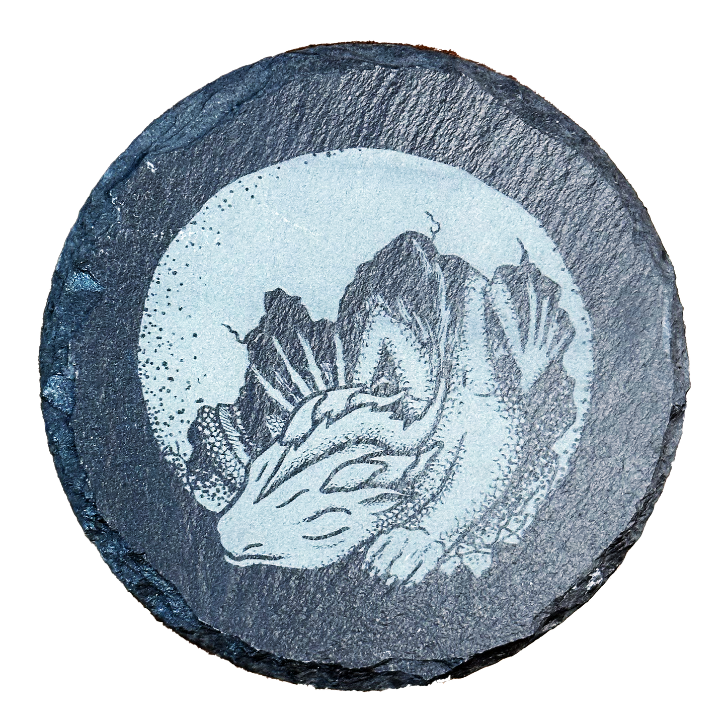 Baby Dragon Hatchling Coaster