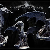 Adult Black Dragon