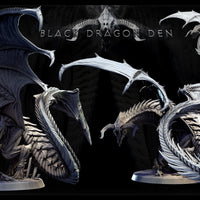 Adult Black Dragon