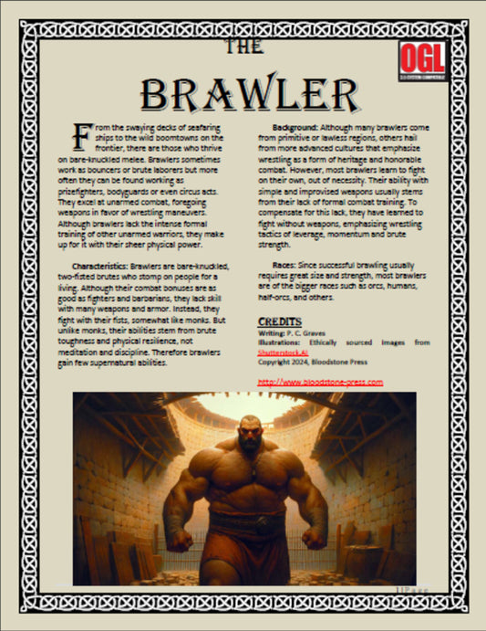 The Brawler (d20)