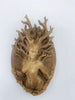 Dryad Wall Plaque, Hand Painted Resin Sculpture | Mythic Forest Creature Wall Art | Woodland Goddess Wall Plaque for Nature Lovers