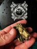 Lion's Head Magnet, Hand Painted Resin Sculpture | Mythic Fantasy Decor | Lion Magnet for Fantasy and Gothic Decor