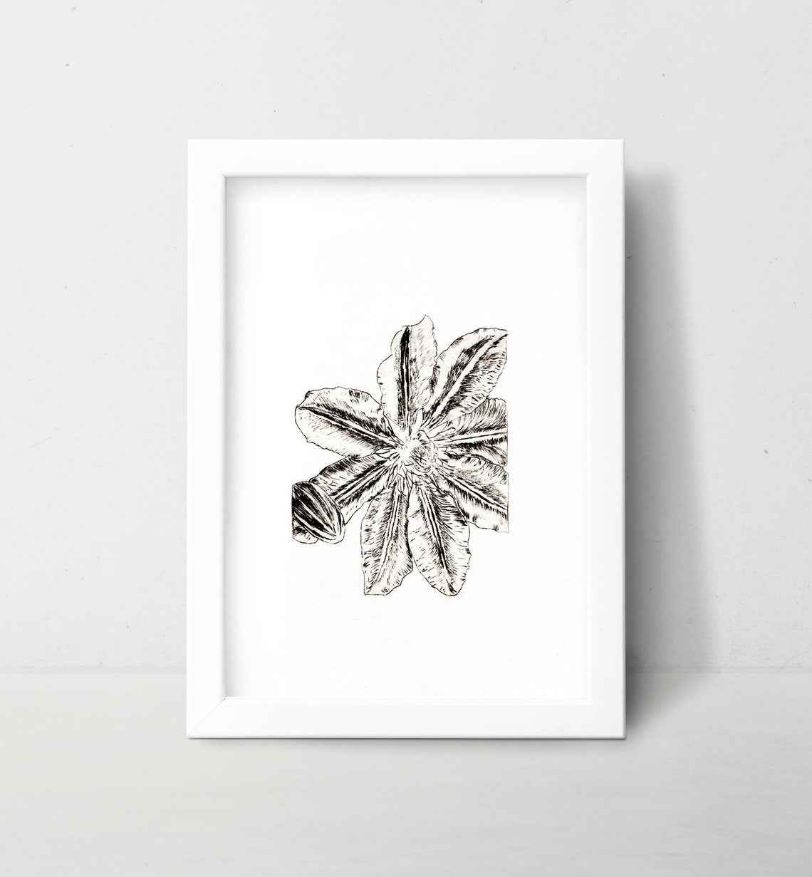 Lily Wall Art Print Black and White Botanical Medieval Art