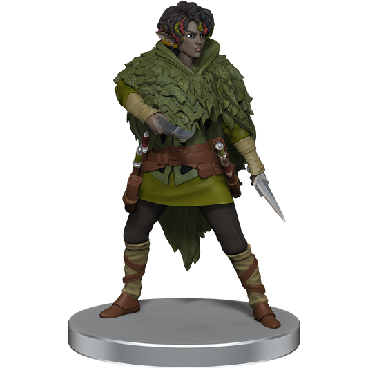 D&D: Icons of the Realms - Dragonlance - Warrior Set