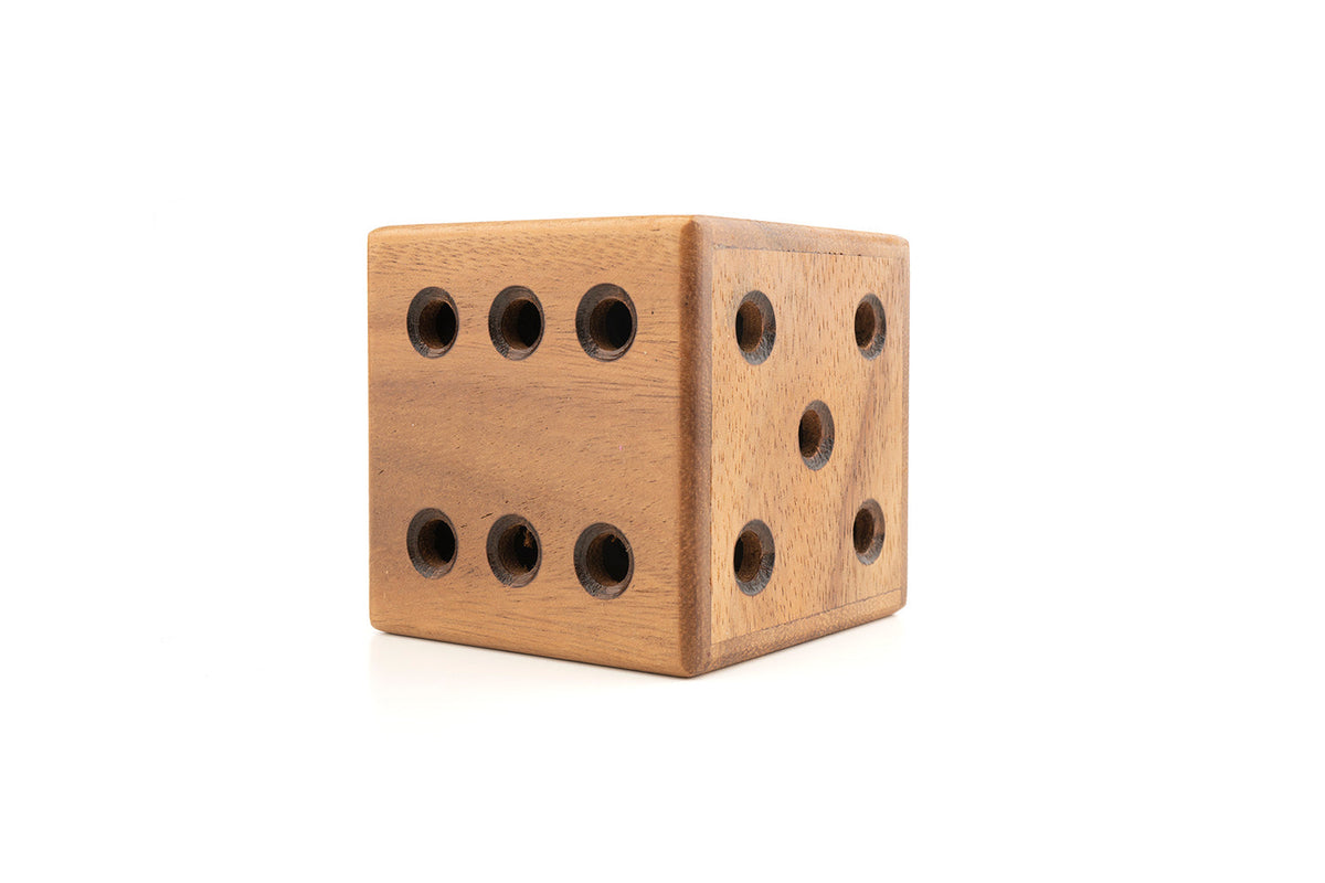 Dice Maze Puzzle – Hidden Marble Escape Brain Teaser