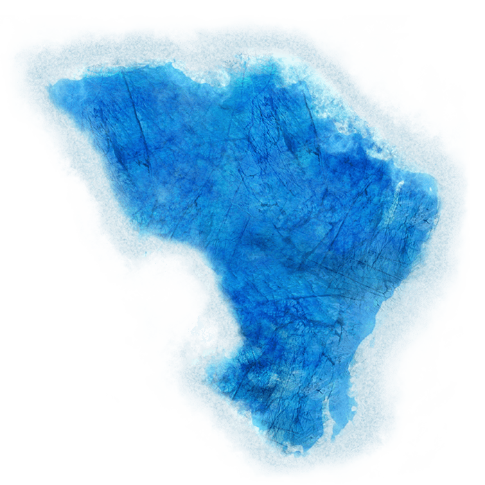 Arctic Forests