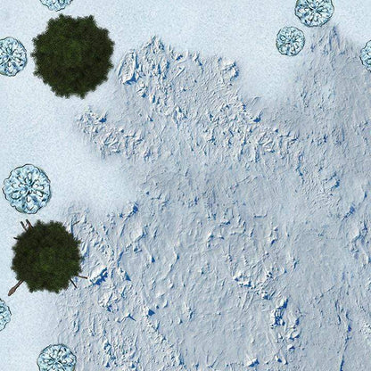 Arctic Forests