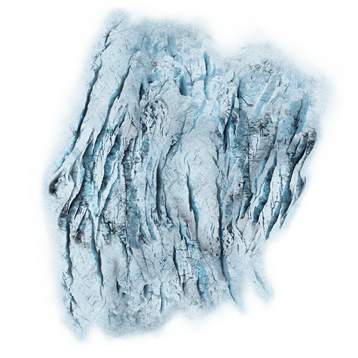Arctic Forests